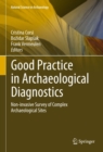 Good Practice in Archaeological Diagnostics : Non-invasive Survey of Complex Archaeological Sites - eBook