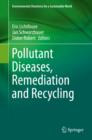 Pollutant Diseases, Remediation and Recycling - eBook