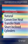 Natural Convective Heat Transfer from Short Inclined Cylinders - eBook