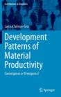 Development Patterns of Material Productivity : Convergence or Divergence? - Book