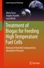 Treatment of Biogas for Feeding High Temperature Fuel Cells : Removal of Harmful Compounds by Adsorption Processes - eBook