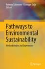 Pathways to Environmental Sustainability : Methodologies and Experiences - eBook