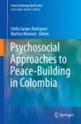 Psychosocial Approaches to Peace-Building in Colombia - eBook