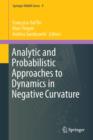 Analytic and Probabilistic Approaches to Dynamics in Negative Curvature - Book