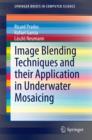 Image Blending Techniques and their Application in Underwater Mosaicing - eBook