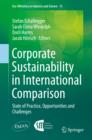 Corporate Sustainability in International Comparison : State of Practice, Opportunities and Challenges - eBook
