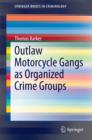 Outlaw Motorcycle Gangs as Organized Crime Groups - eBook