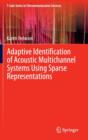 Adaptive Identification of Acoustic Multichannel Systems Using Sparse Representations - Book