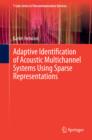 Adaptive Identification of Acoustic Multichannel Systems Using Sparse Representations - eBook