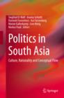 Politics in South Asia : Culture, Rationality and Conceptual Flow - eBook