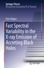 Fast Spectral Variability in the X-ray Emission of Accreting Black Holes - eBook