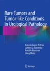 Rare Tumors and Tumor-Like Conditions in Urological Pathology - Book