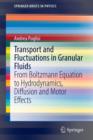 Transport and Fluctuations in Granular Fluids : From Boltzmann Equation to Hydrodynamics, Diffusion and Motor Effects - Book