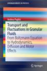 Transport and Fluctuations in Granular Fluids : From Boltzmann Equation to Hydrodynamics, Diffusion and Motor Effects - eBook
