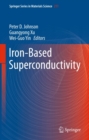 Iron-Based Superconductivity - eBook