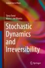 Stochastic Dynamics and Irreversibility - eBook