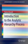 Introduction to the Analytic Hierarchy Process - eBook