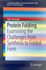Protein Folding : Examining the Challenges from Synthesis to Folded Form - eBook