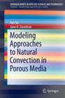 Modeling Approaches to Natural Convection in Porous Media - Book