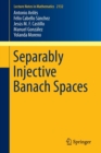 Separably Injective Banach Spaces - Book