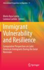 Immigrant Vulnerability and Resilience : Comparative Perspectives on Latin American Immigrants During the Great Recession - Book