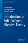 Solving Hyperbolic Equations with Finite Volume Methods - Thomas Becher