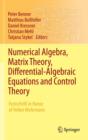 Numerical Algebra, Matrix Theory, Differential-Algebraic Equations and Control Theory : Festschrift in Honor of Volker Mehrmann - Book