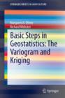 Basic Steps in Geostatistics: The Variogram and Kriging - Book
