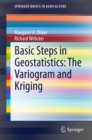 Basic Steps in Geostatistics: The Variogram and Kriging - eBook