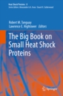 The Big Book on Small Heat Shock Proteins - eBook