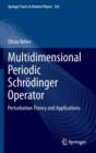 Multidimensional Periodic Schroedinger Operator : Perturbation Theory and Applications - Book