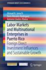 Labor Markets and Multinational Enterprises in Puerto Rico : Foreign Direct Investment Influences and Sustainable Growth - Book