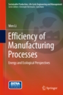 Efficiency of Manufacturing Processes : Energy and Ecological Perspectives - eBook