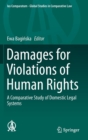 Damages for Violations of Human Rights : A Comparative Study of Domestic Legal Systems - Book