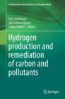 Hydrogen Production and Remediation of Carbon and Pollutants - Book