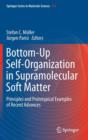 Bottom-Up Self-Organization in Supramolecular Soft Matter : Principles and Prototypical Examples of Recent Advances - Book