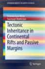 Tectonic Inheritance in Continental Rifts and Passive Margins - Book