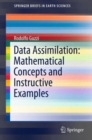 Data Assimilation: Mathematical Concepts and Instructive Examples - Book