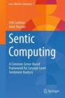 Sentic Computing : A Common-Sense-Based Framework for Concept-Level Sentiment Analysis - Book