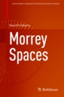 Morrey Spaces - eBook
