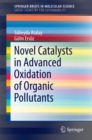 Novel Catalysts in Advanced Oxidation of Organic Pollutants - eBook