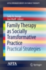 Family Therapy as Socially Transformative Practice : Practical Strategies - eBook