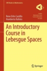 An Introductory Course in Lebesgue Spaces - Book