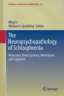 The Neuropsychopathology of Schizophrenia : Molecules, Brain Systems, Motivation, and Cognition - Book