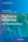 Psychosocial Perspectives on Peacebuilding - Book