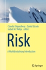 Risk - A Multidisciplinary Introduction - Book
