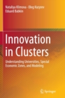 Innovation in Clusters : Understanding Universities, Special Economic Zones, and Modeling - Book