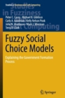 Fuzzy Social Choice Models : Explaining the Government Formation Process - Book
