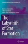 The Labyrinth of Star Formation - Book