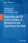 Glutamate and ATP at the Interface of Metabolism and Signaling in the Brain - Book
